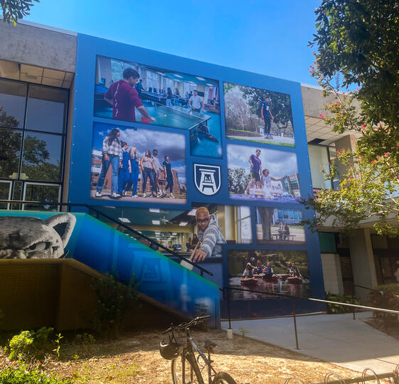 Campus Recreation Wall Mural Final
